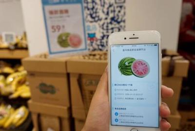 上海“訂單式農業”引領食品安全新風尚，上游農戶增收與互聯網銷售雙贏